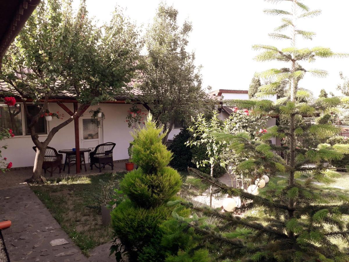 Casa Chitu Guest House Murighiol Exterior photo