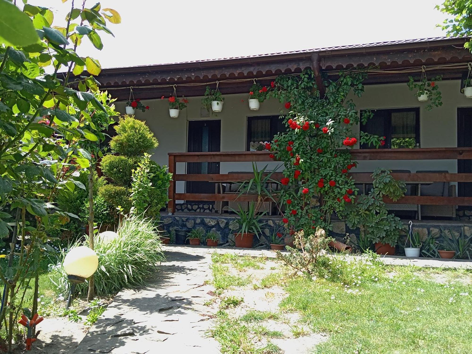 Casa Chitu Guest House Murighiol Exterior photo